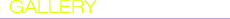 ڵȭ ü